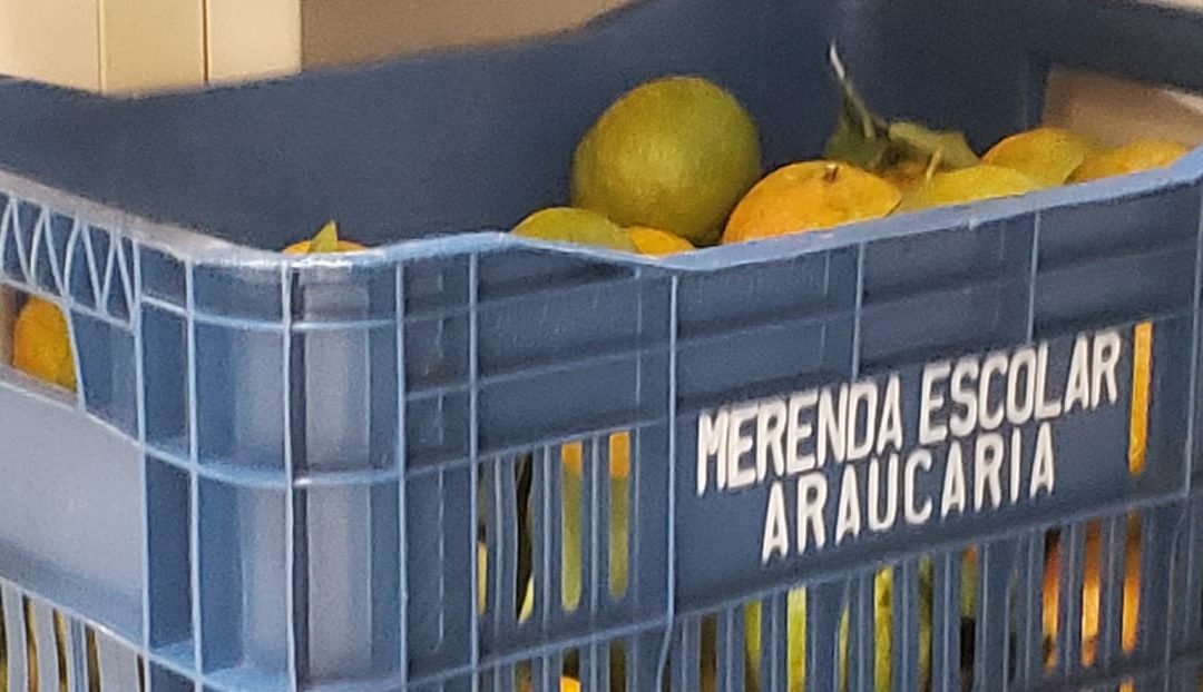 POLÍCIA APREENDE ALIMENTOS EM EVENTO NA CÂMARA DE ARAUCÁRIA POR SUSPEITA DE DESVIO DE MERENDA ESCOLAR