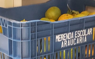 POLÍCIA APREENDE ALIMENTOS EM EVENTO NA CÂMARA DE ARAUCÁRIA POR SUSPEITA DE DESVIO DE MERENDA ESCOLAR