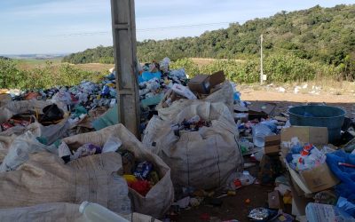 Relatório de Atividades da Semana VIGILANTES DA GESTÃO
